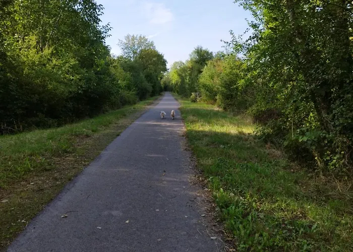 Jolie Maison Entiere 2 1 Jardin *